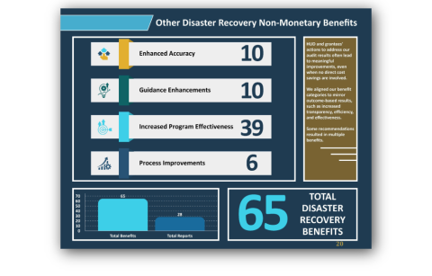 Other Disaster Recovery Non-Monetary Benefits