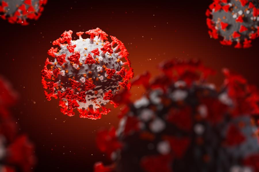 covid virus